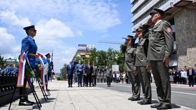 Polaganje venaca